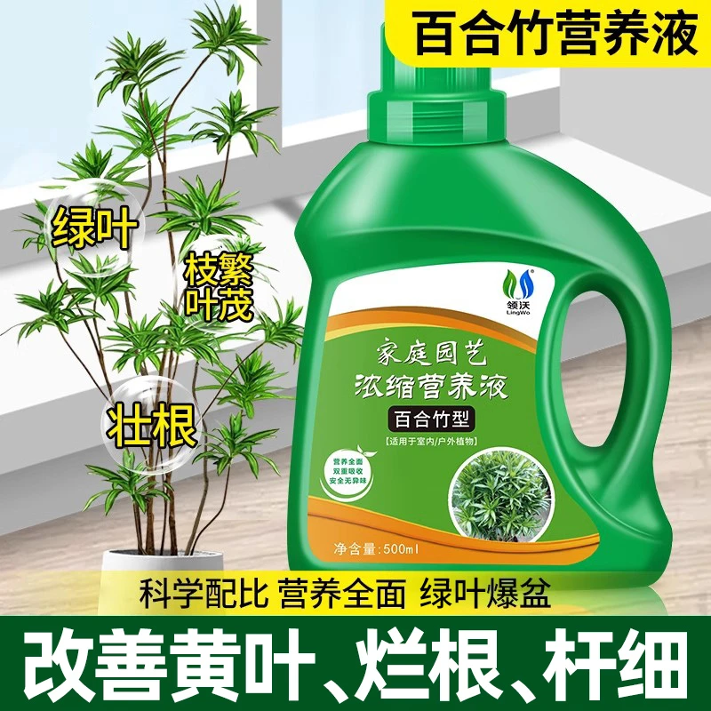 百合竹营养液金边百合竹专用肥料治叶子发黄养护绿植水溶液体肥