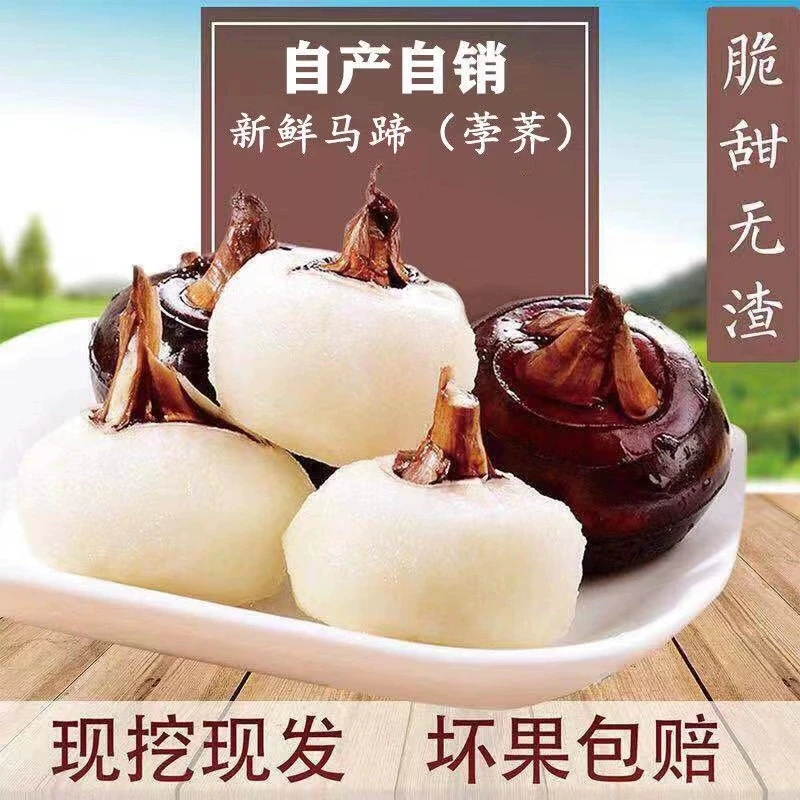 马蹄荸荠地梨农家现挖红皮马蹄清甜脆甜爽口地梨地栗农家特产自种