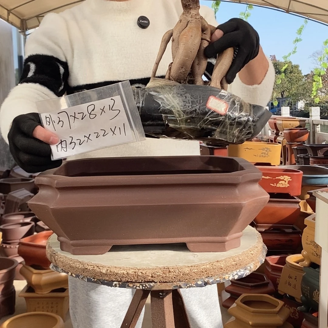 花盆紫砂紫砂精品