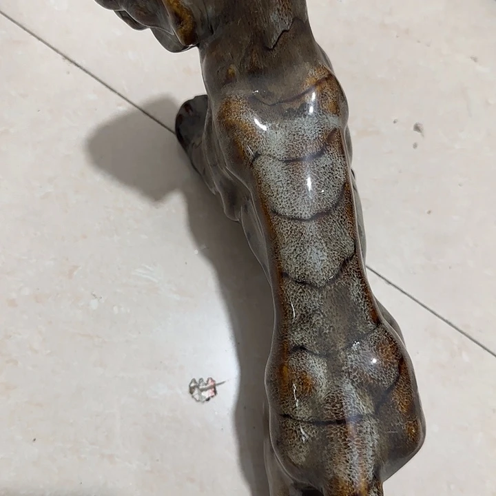 香榧木哈*Chfhggghghgggggg