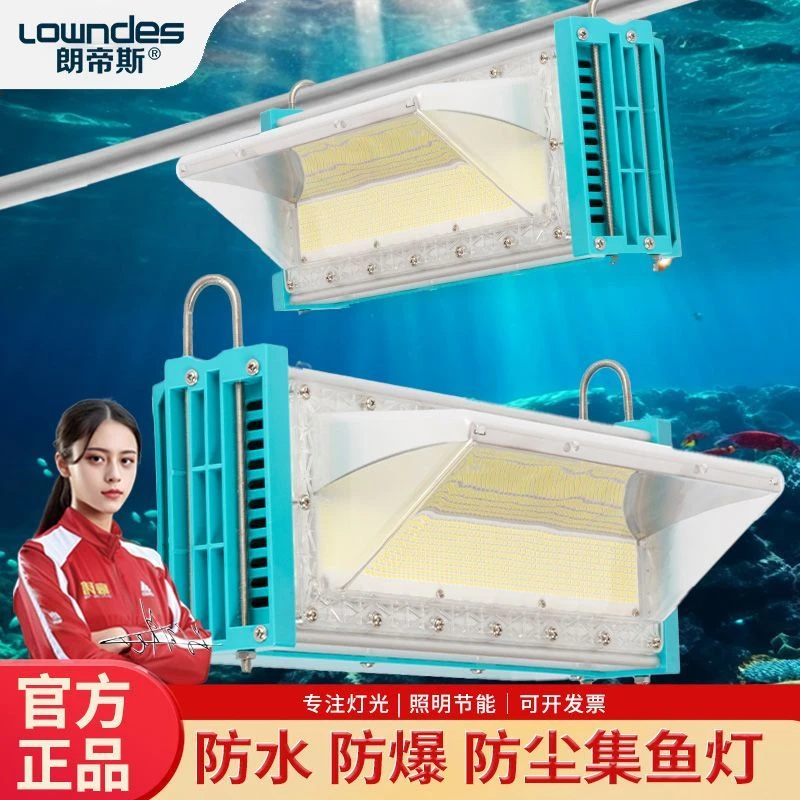 LED集鱼灯诱鱼灯聚鱼灯船钓海钓筏钓灯户外防水220V船用大功率灯