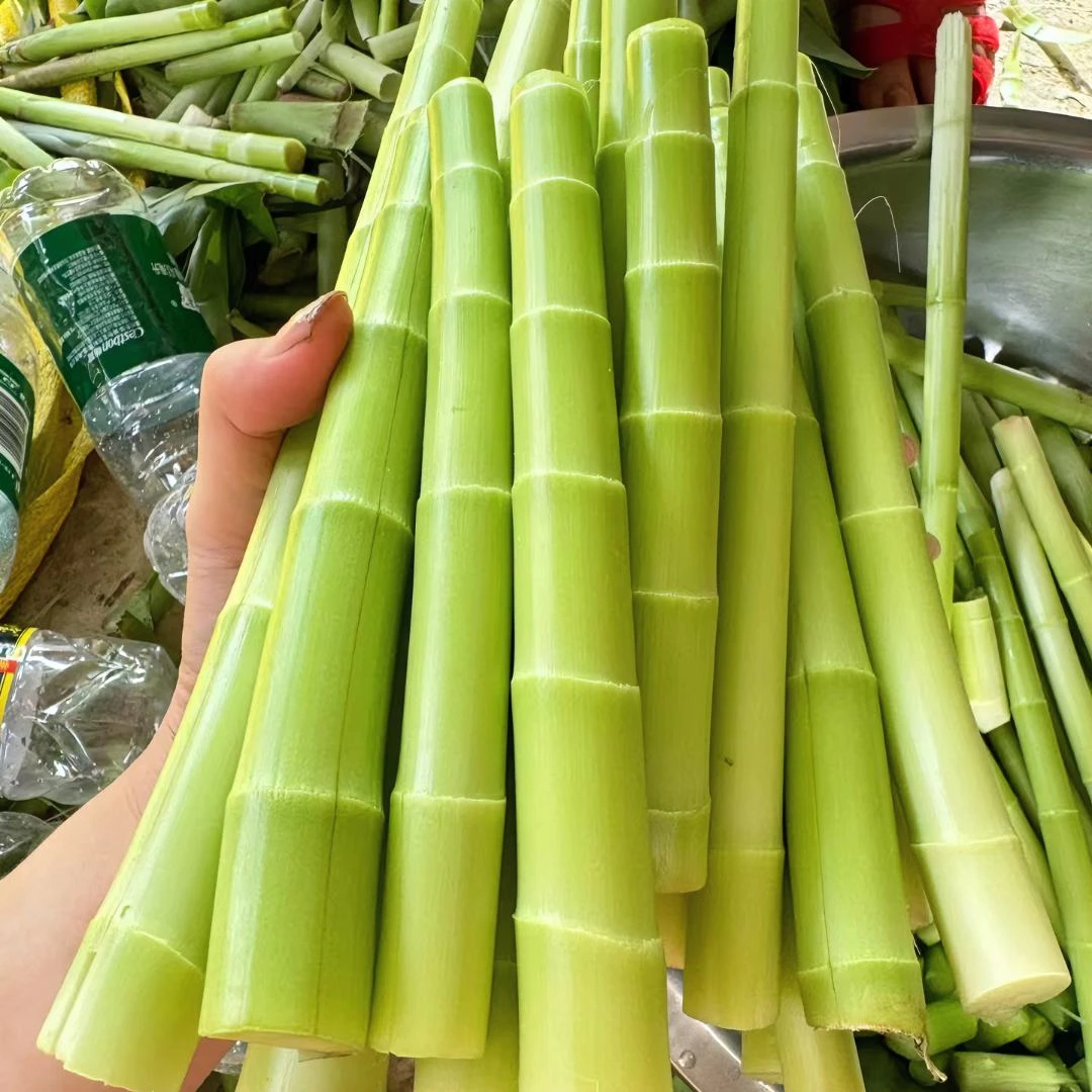 新鲜两广雷公笋闭鞘姜广商陆水蕉花嫩芽 海南酸白石笋3斤/5斤包邮