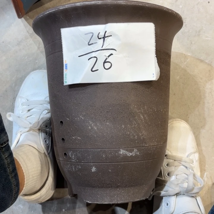 花盆紫砂紫砂的花