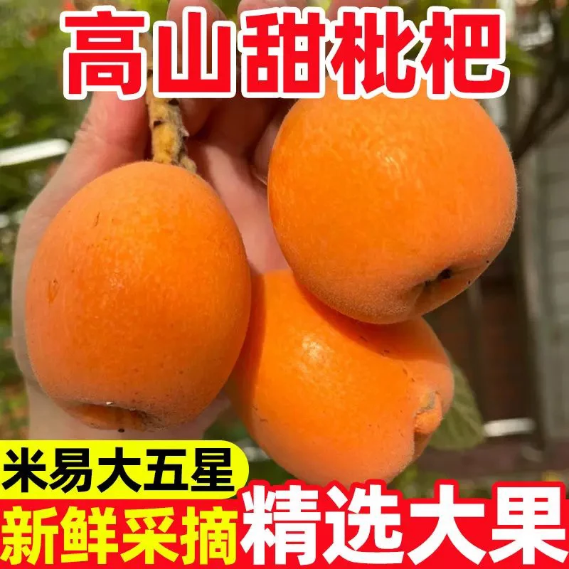 米易现摘大五星枇杷1/2/3/5斤新鲜当季孕妇水果农家自种整箱包邮