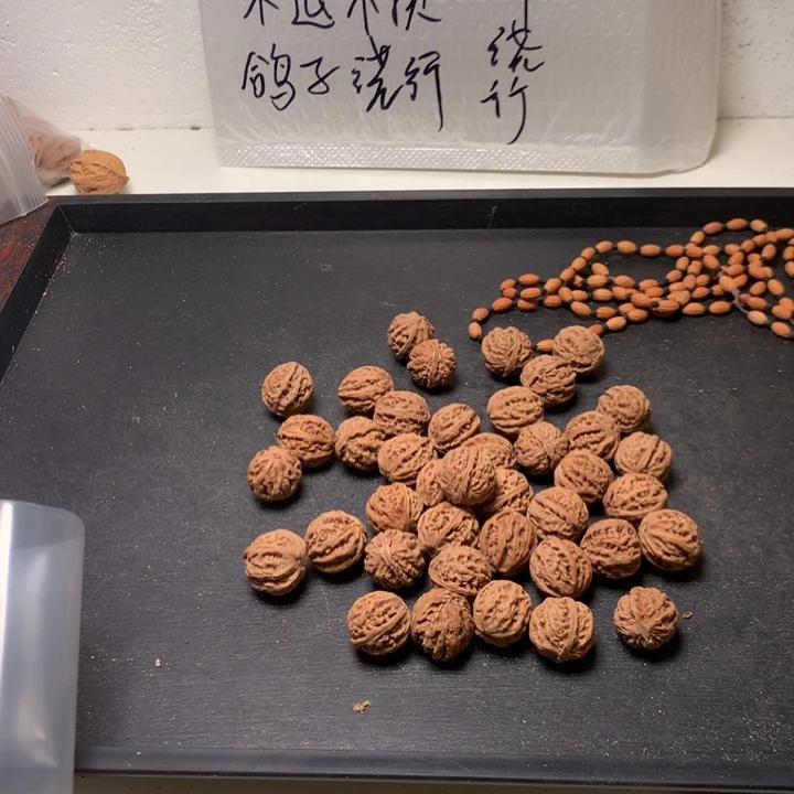 星***辰吊坠文玩核桃野生精品小核桃散籽
