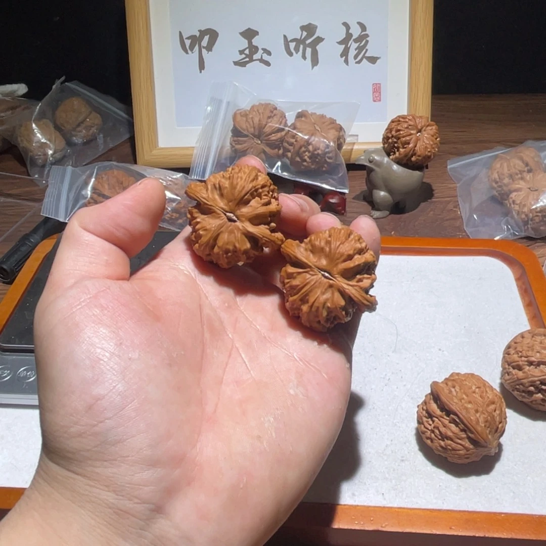 文玩核桃把件40全品白狮子正