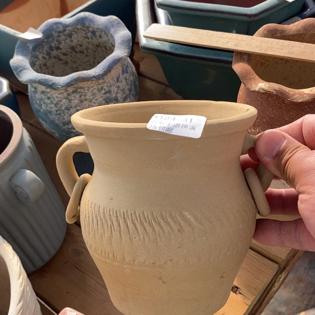 31号花盆内10高13花盆