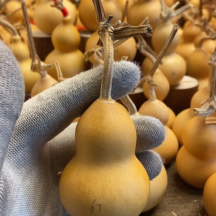 文玩葫芦 完美主义者 慎拍67