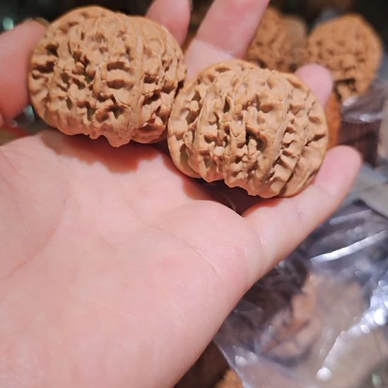 吊坠文玩核桃43白狮子