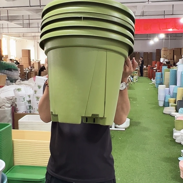 青山401口40高35果绿色5个无托