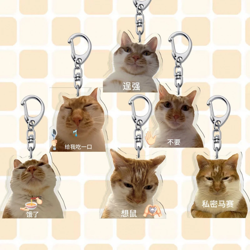 鱼烧哥亚克力创意钥匙扣照片情侣书包宠物周边可爱高颜值挂件挂饰