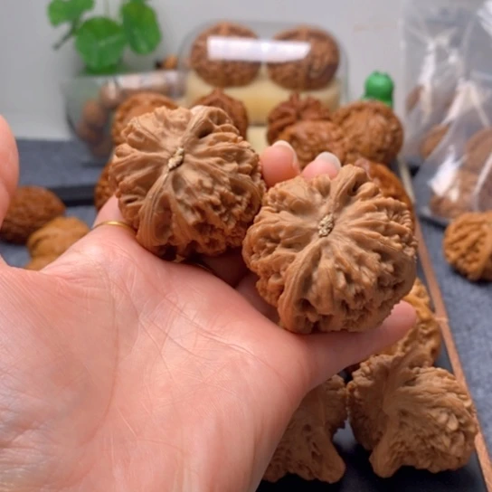 吊坠文玩核桃全品48➕粗筋精品