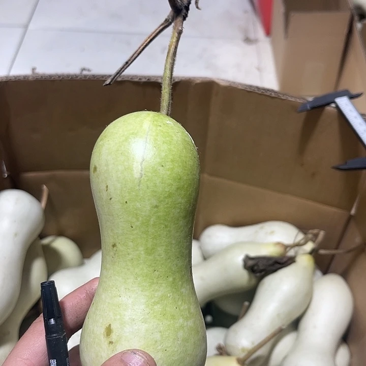 非洲紫檀（红花梨）自***刻