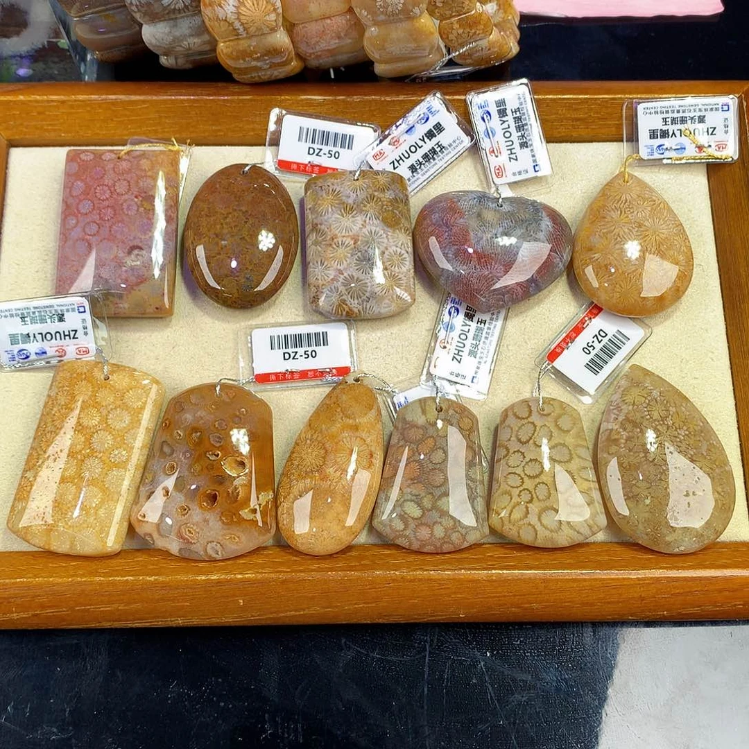 硅化珊瑚（珊瑚玉）未镶嵌吊坠(赠链)54号吊坠50一个