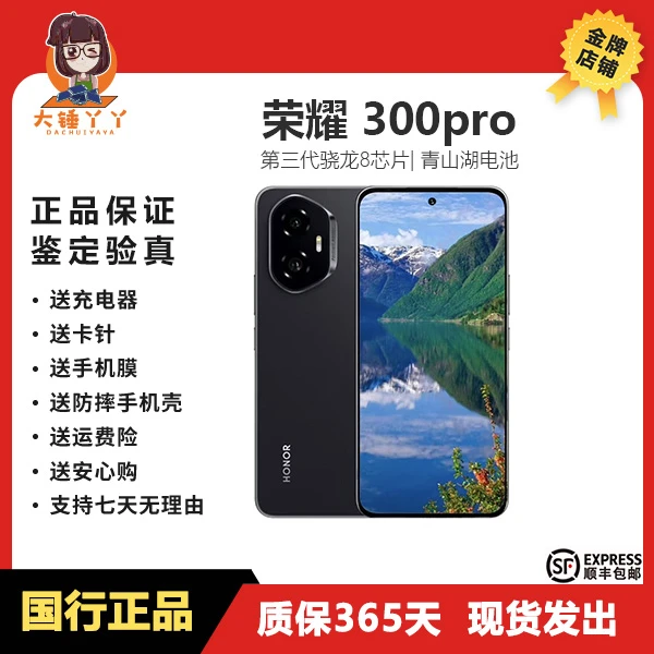 99新 honor/荣耀 荣耀300Pro 绿洲护眼屏 5300mAh青海湖电池
