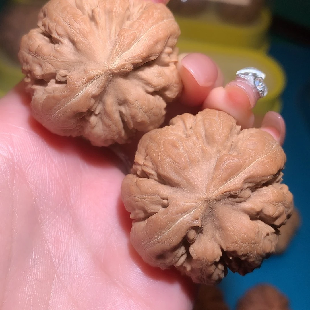 文玩核桃把件全品八筋巨鼎霸王龙