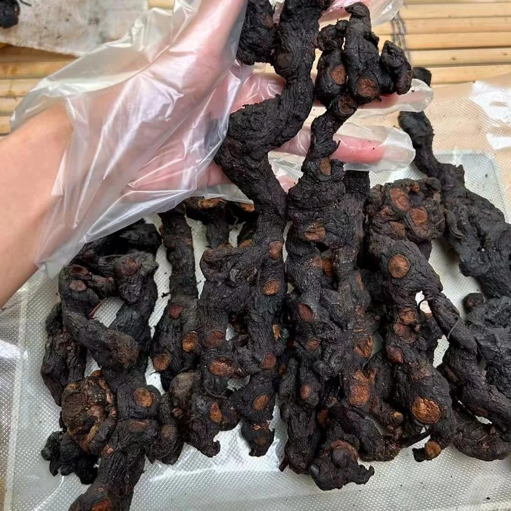 【多花黄精】云南大山下山货多花黄精  仙人余粮  食用农产品 6A10