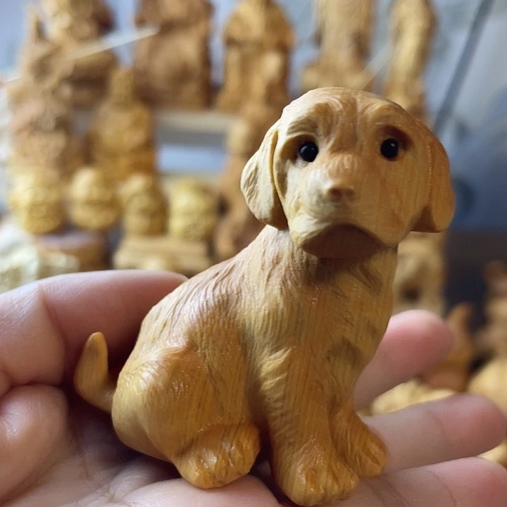 柏木（崖柏）金毛犬崖柏