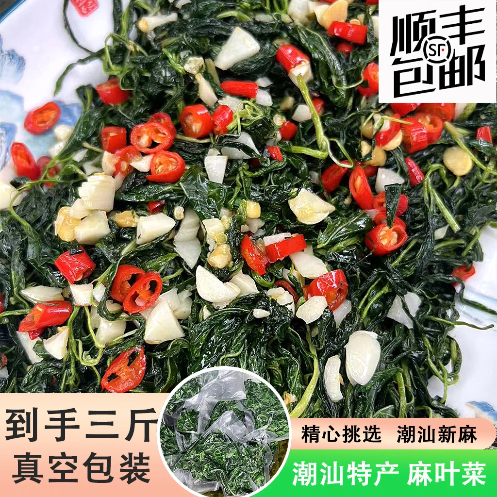 【潮汕鱼饭】潮汕打冷麻叶（新麻）