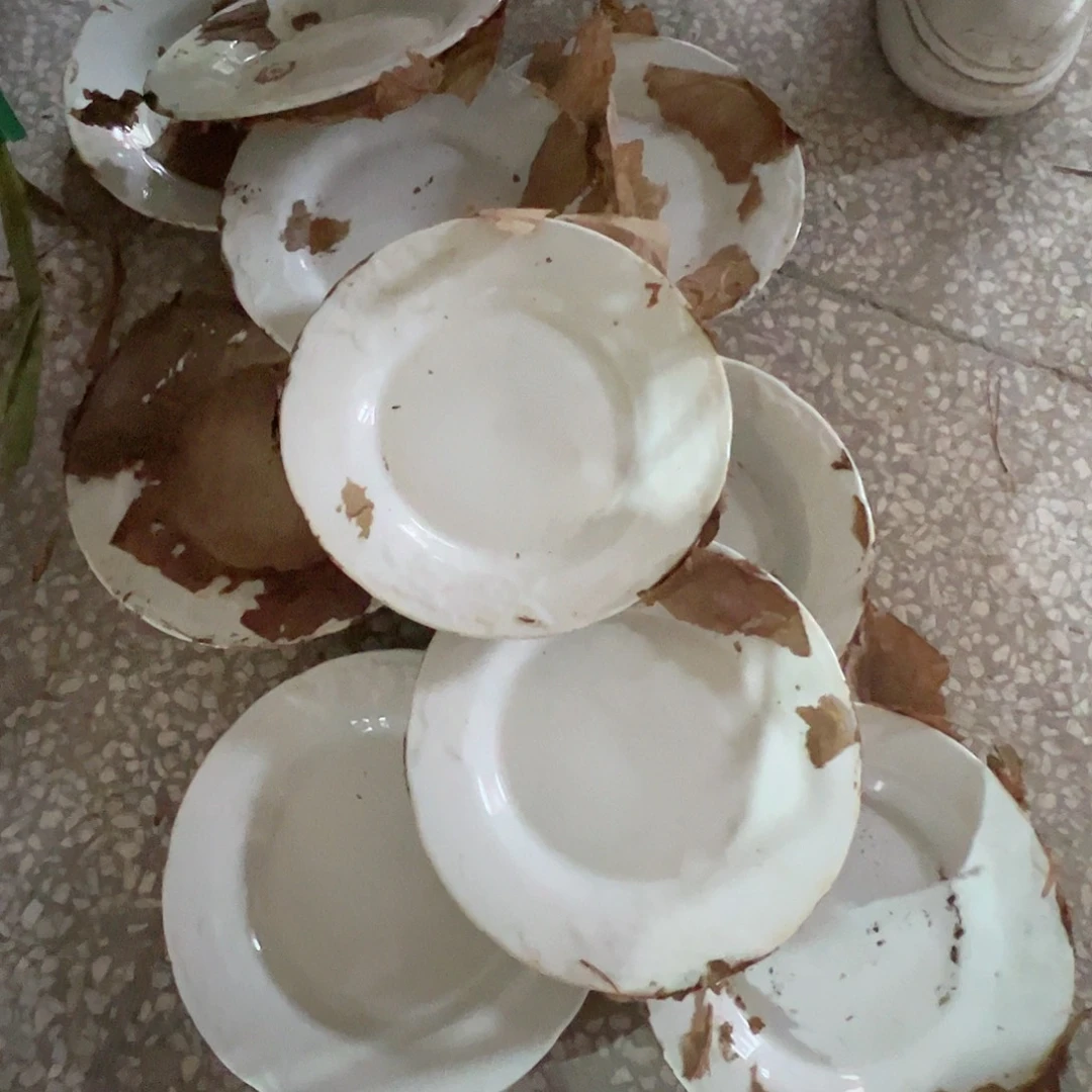 瓷景德镇高温陶瓷老白胎7寸浮雕菜盘10个