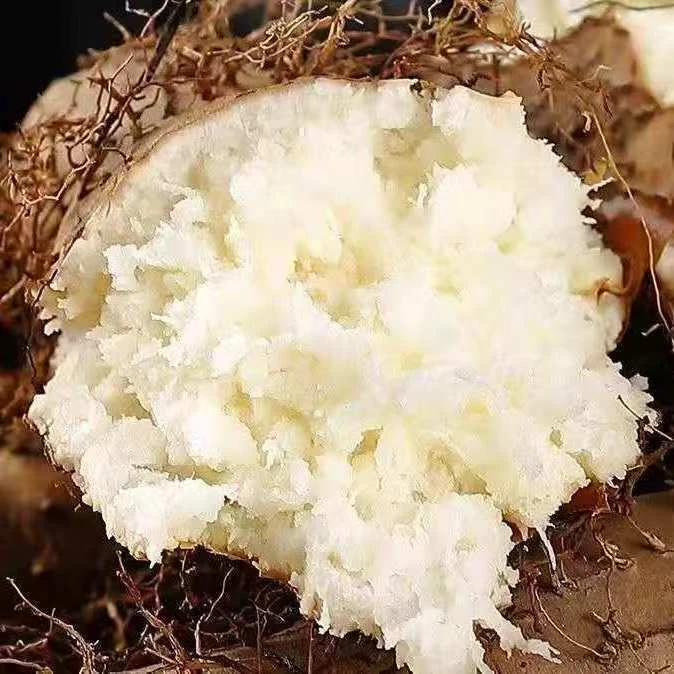 【宝宝果】海南毛薯粉糯口感粉香毛薯农家新鲜开挖粗粮