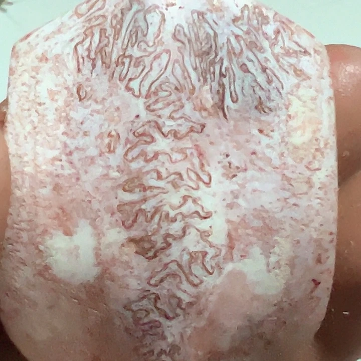 张****树脂铁合金养殖鹿骨制作工艺亲三届牌
