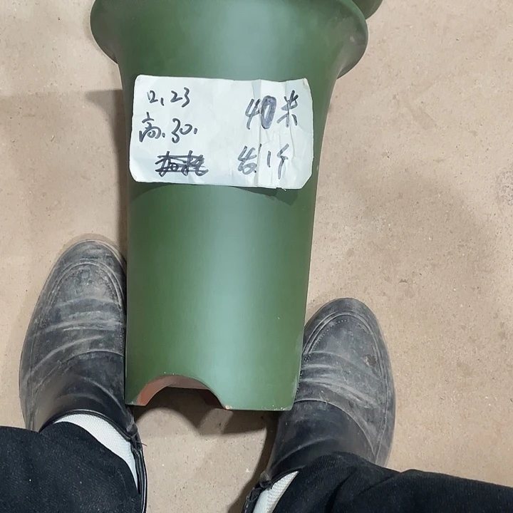 花***豹宜兴丁山张伟花盆