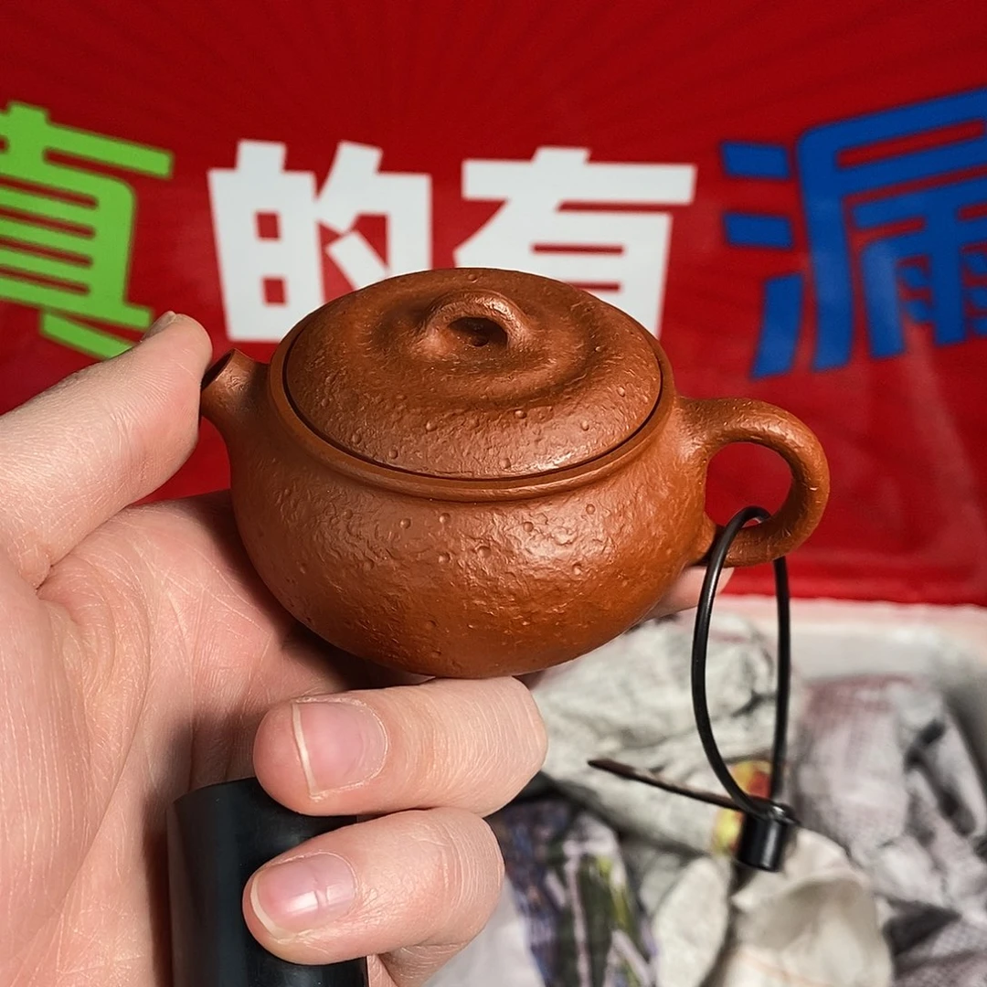 紫砂茶壶宜兴紫砂100