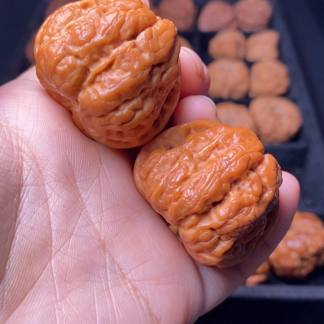 文玩核桃把件秦岭野生核桃