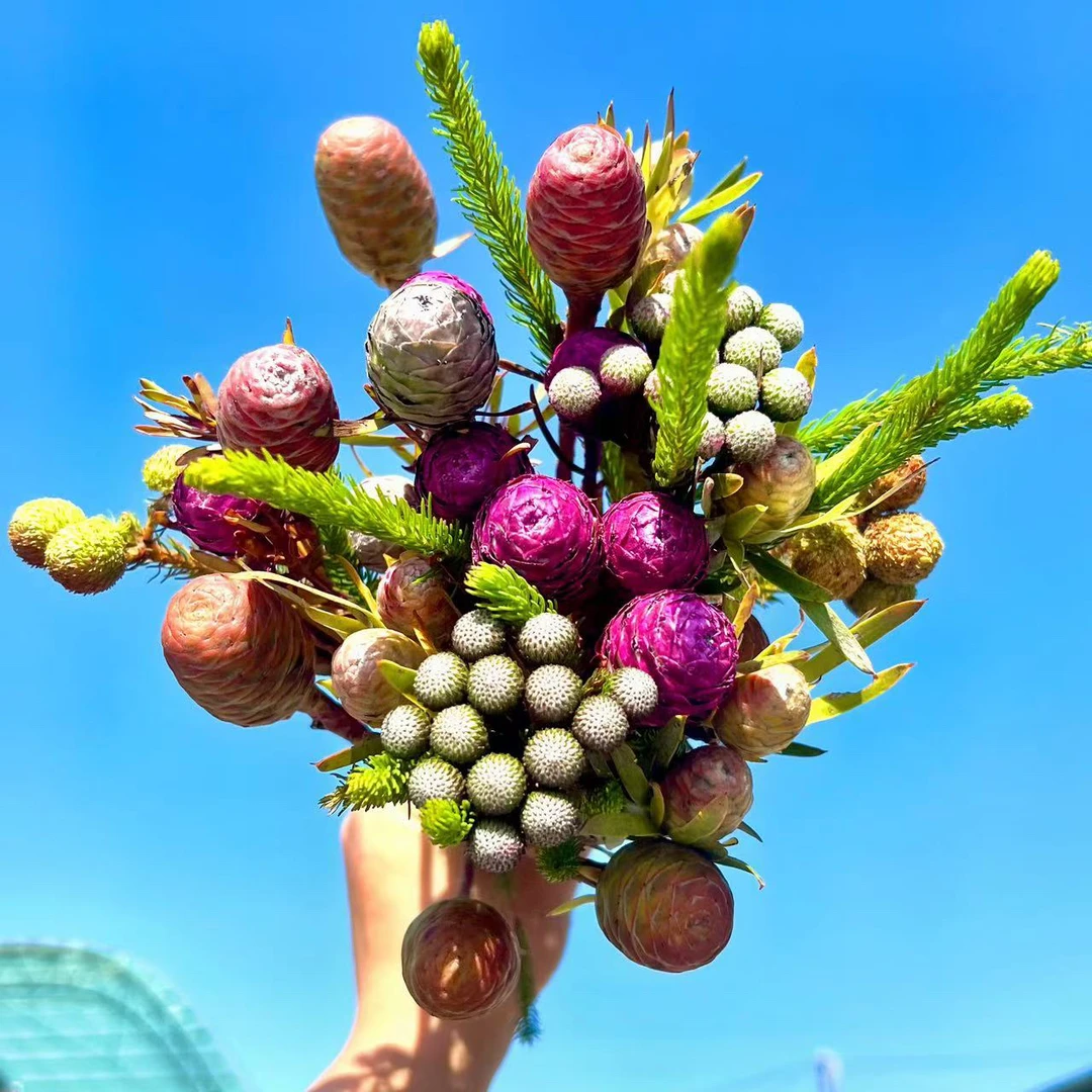 【思芹花卉|南非进口果子花束B款】进口高级花可做干花，顺丰空运