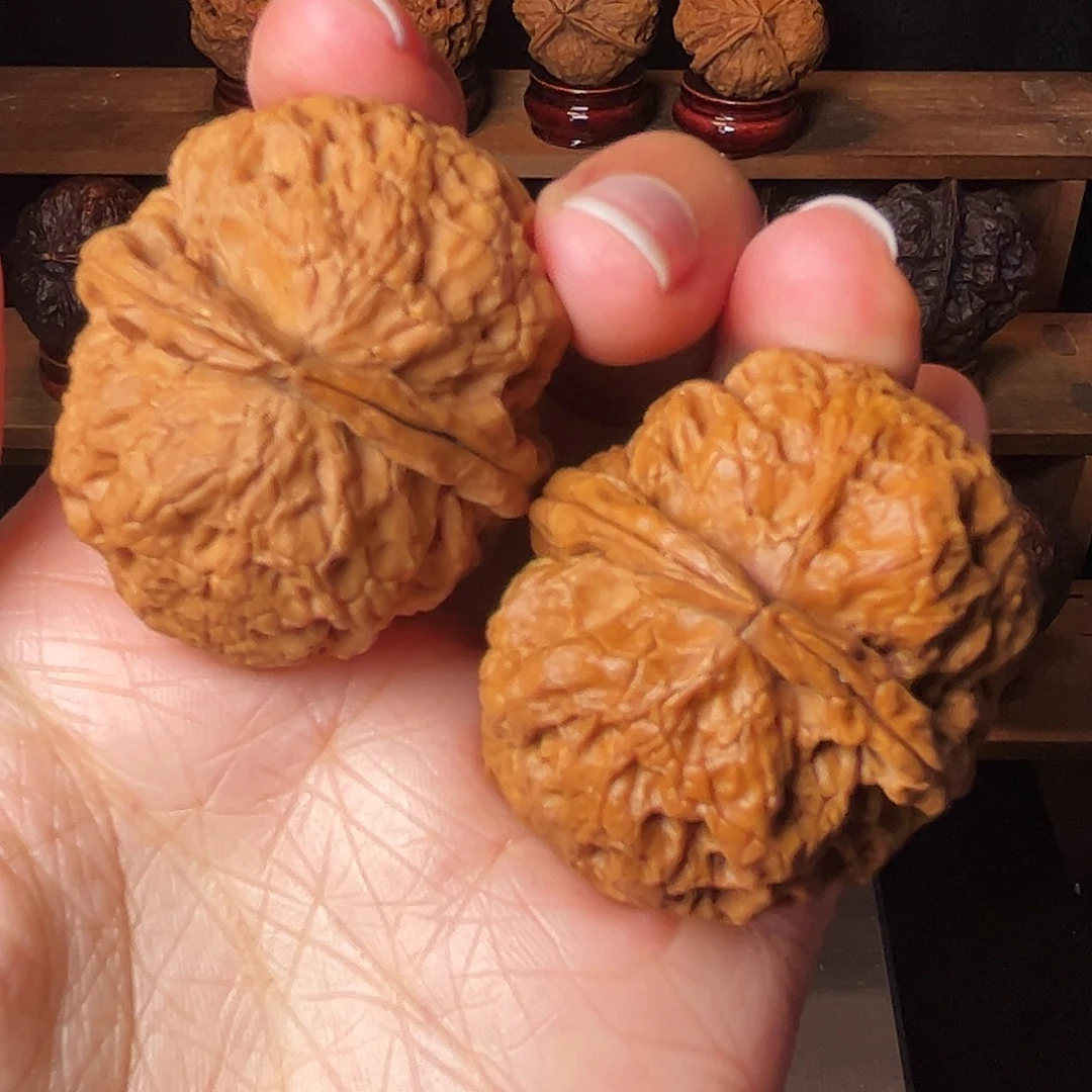 鬼谷子         44