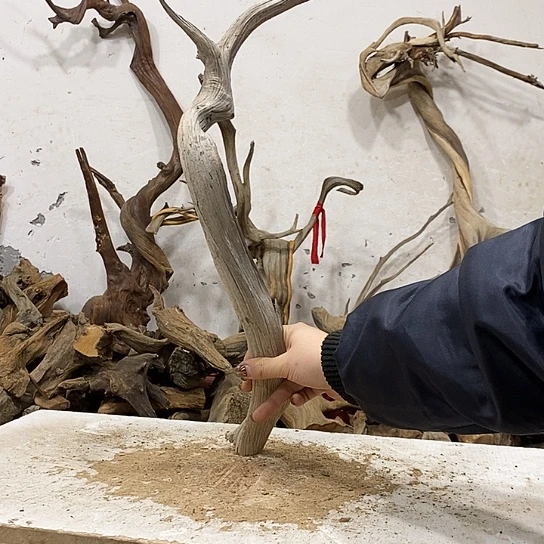 老***赵柏木我们都是好孩子