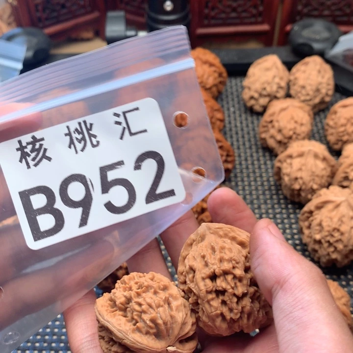 青***城文玩核桃吊坠蚂蚁王
