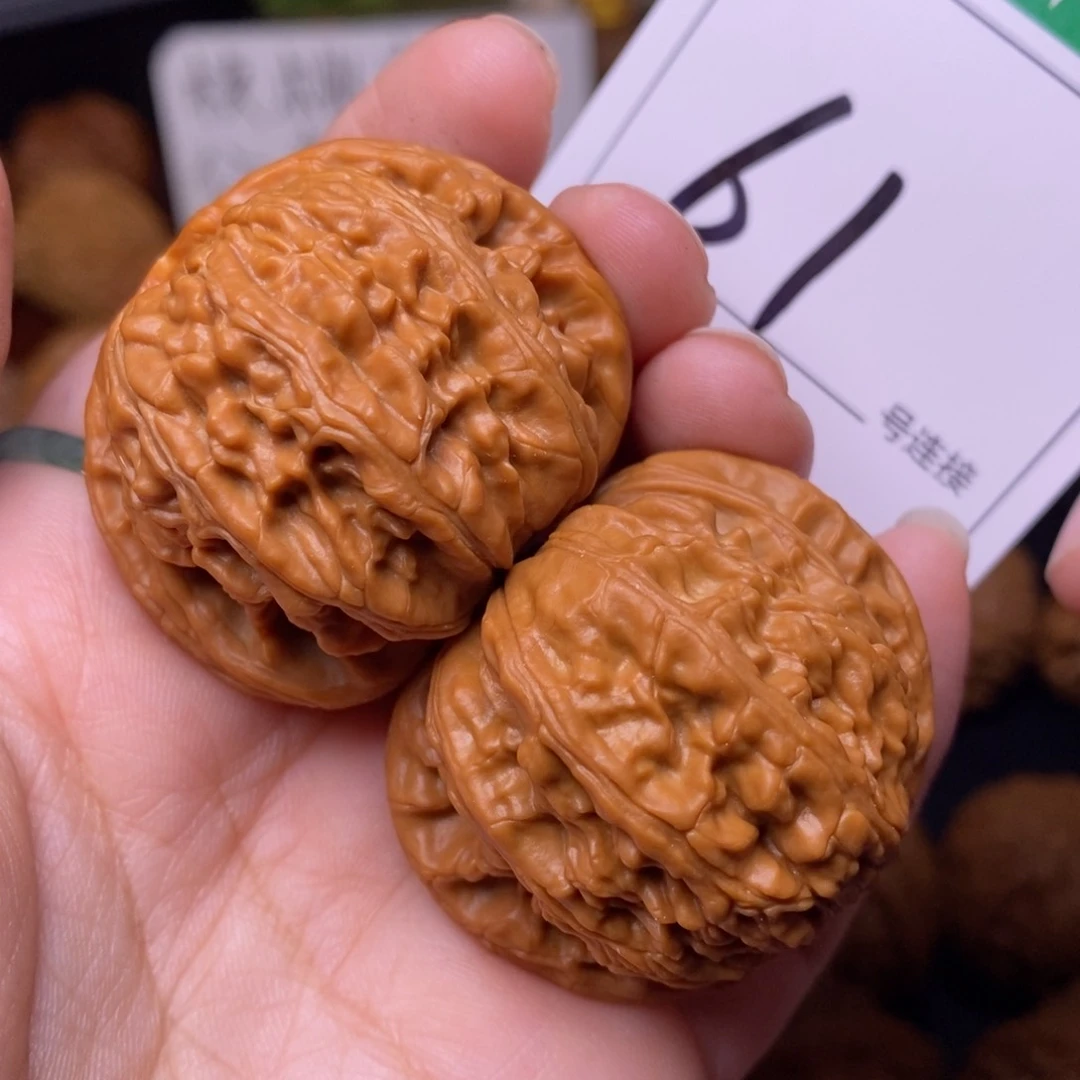 把件文玩核桃61白狮子4.2