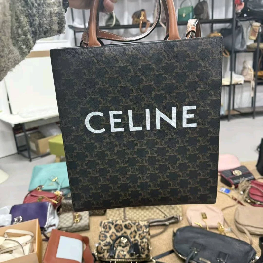 95新 Celine/思琳 小野专属/单肩包/DY8812