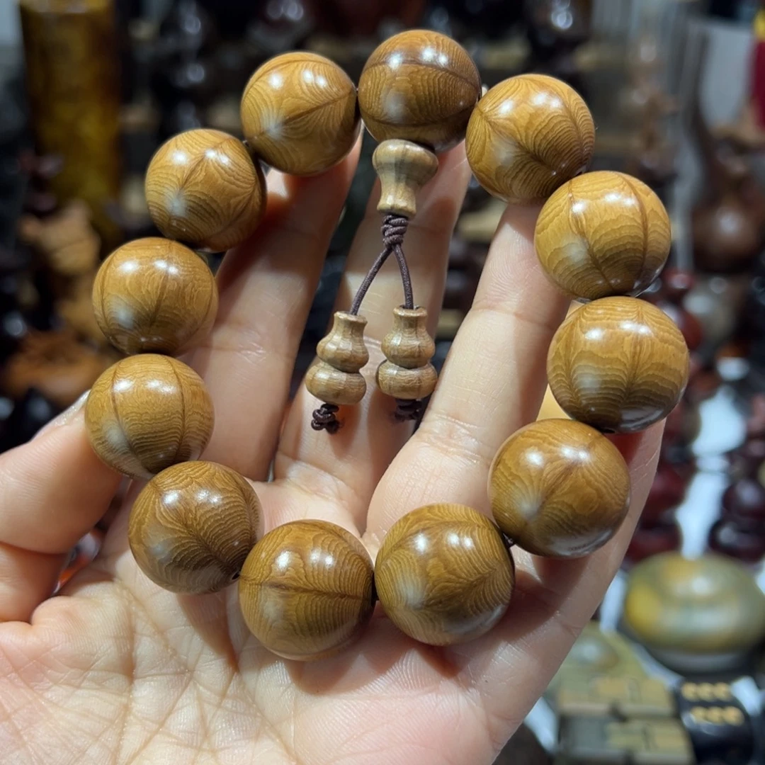 香榧木六道木六道木2.0