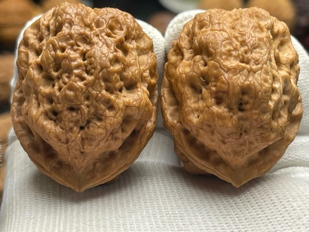 41mm羊角金蟾 克重55