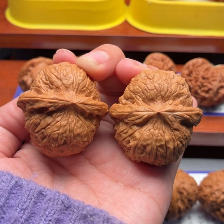 核桃9号 全品39尺南瓜墩