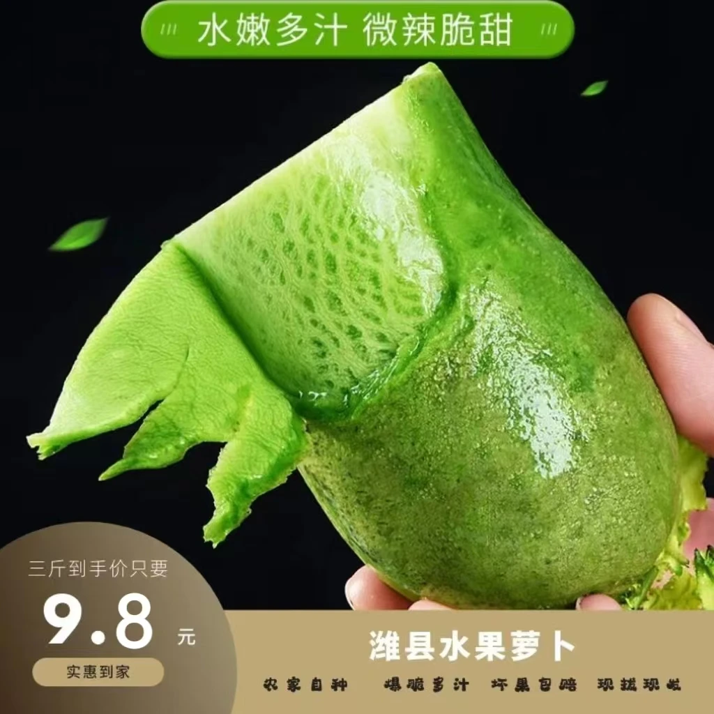 【老潘现拔带泥】潍坊水果萝卜生吃脆甜多汁微辣青萝卜3/5/9斤包邮