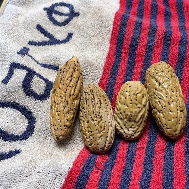 千眼菩提把件༺****༻千眼菩提刷果