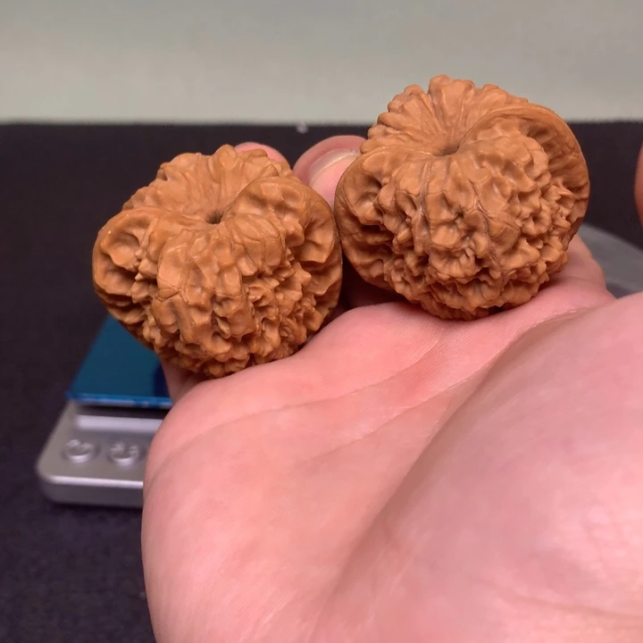 把件文玩核桃44肚42高48凹底官帽