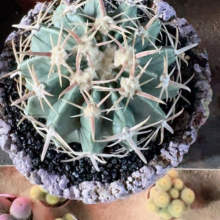 海***海哈哈哈哈哈哈哈哈哈哈