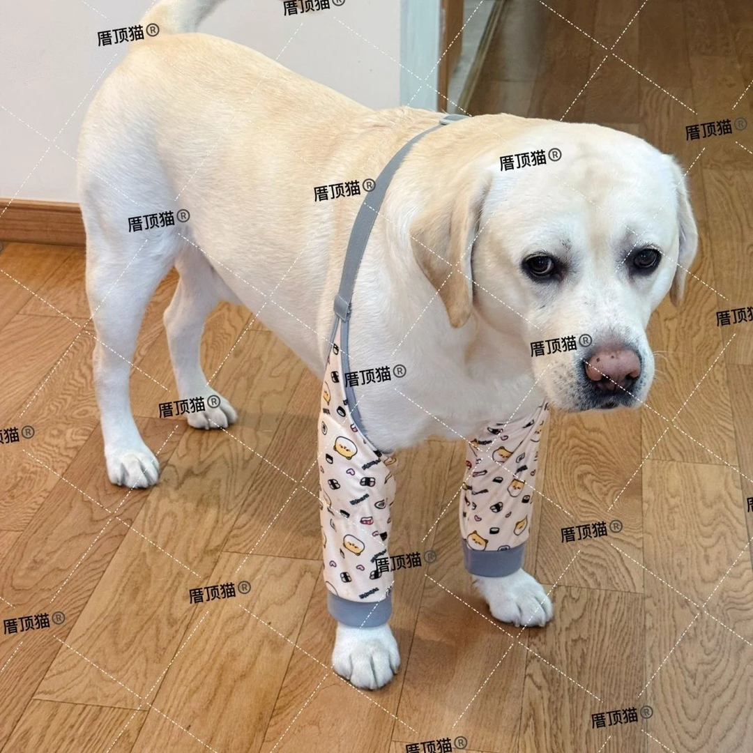 狗狗护肘衣关节保护套金毛拉布拉多宠物防脏神器护膝外出四季通用