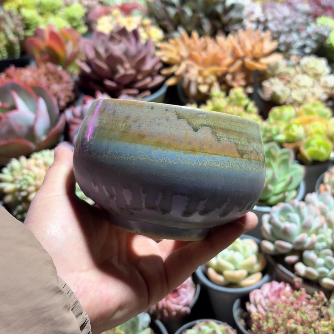 梧*羽景德镇多肉花盆紫色碗