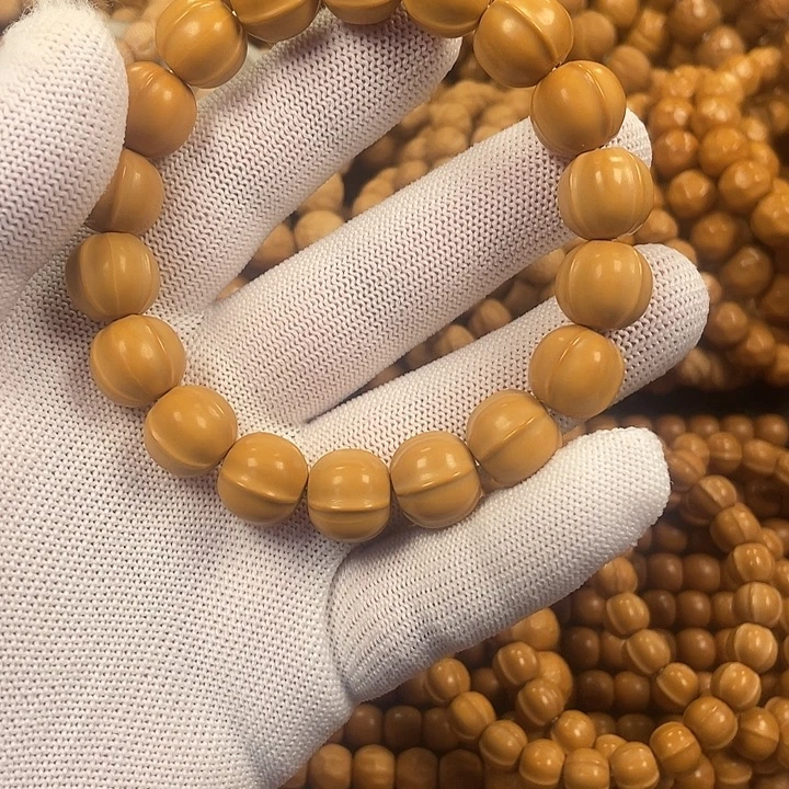 鸽****核桃鲨鱼背四全品。