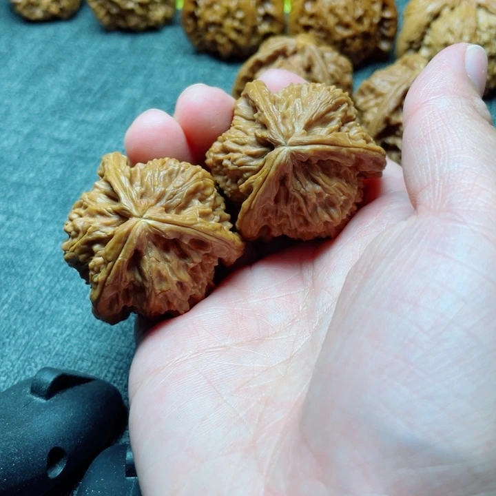手工三棱白狮子三棱