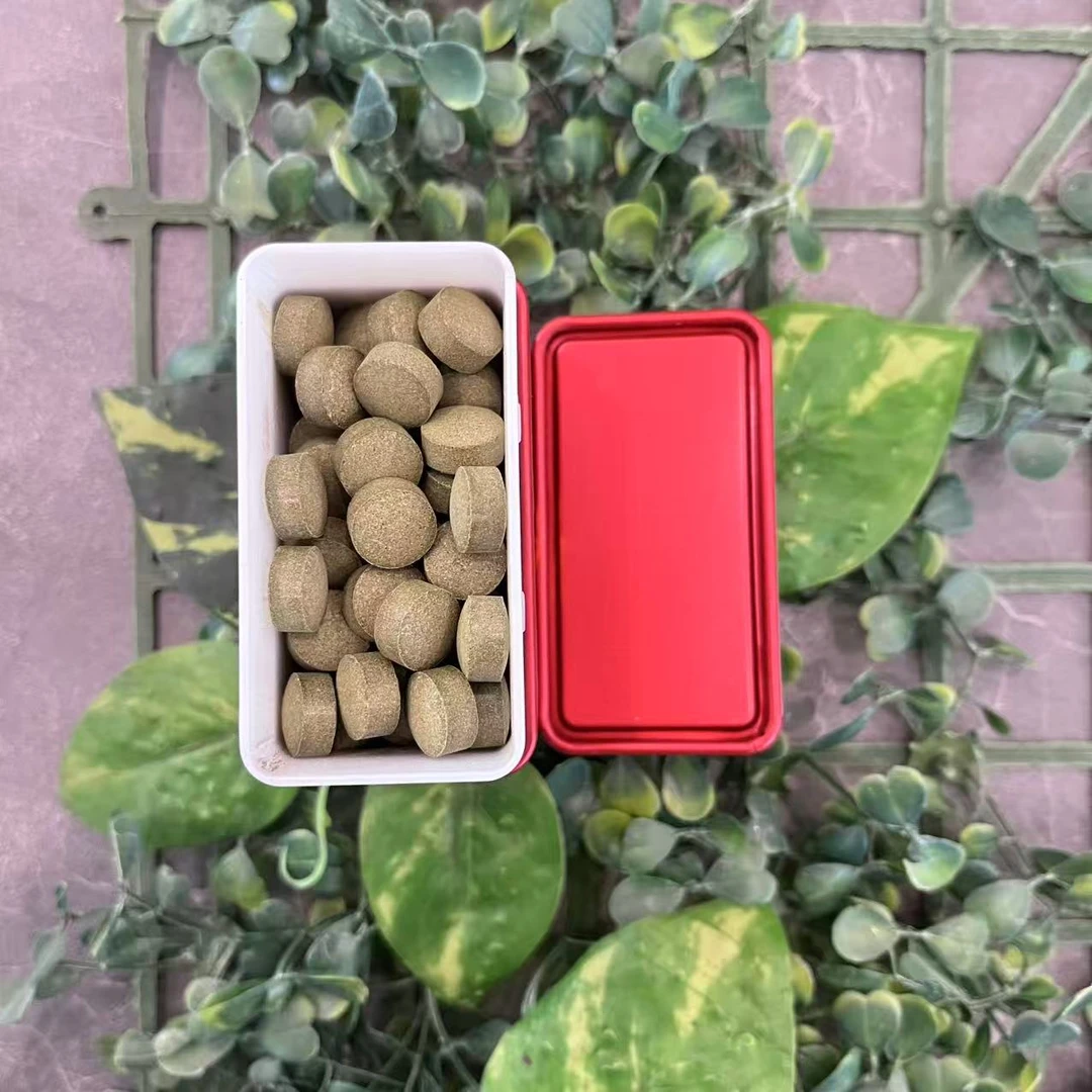 雨腾古茶   “传说J 大FF”30g/盒（12月11）