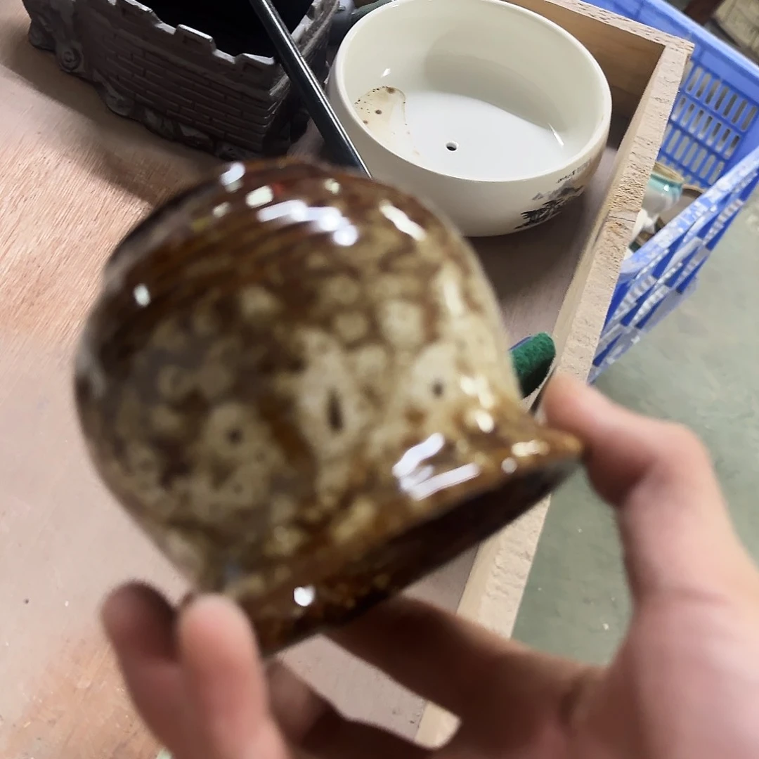 福利局绿植多肉盆［凑9元包邮24小时发］