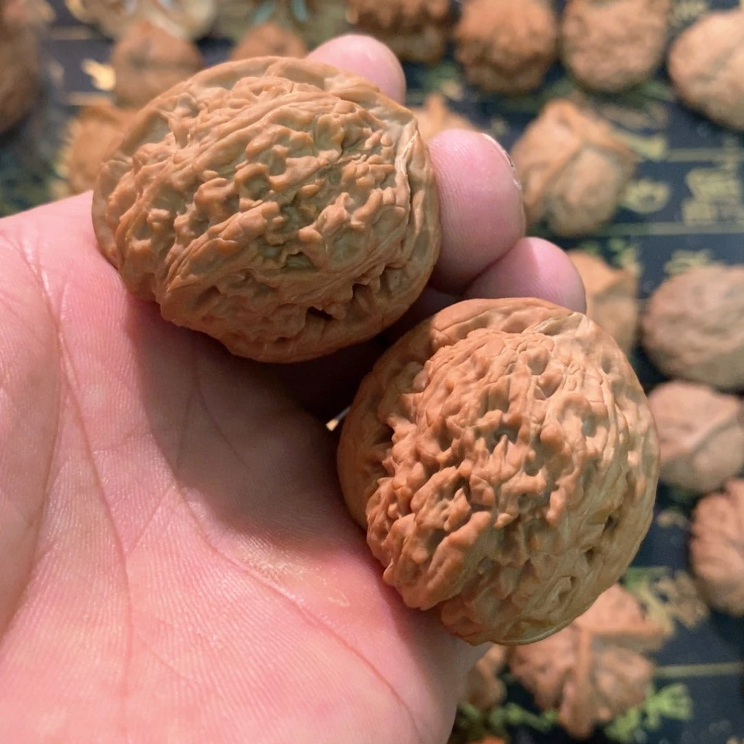 文玩麻核桃白狮子天残