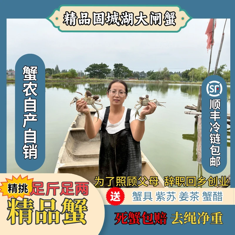 （活蟹）固城湖精品大闸蟹3两公蟹2两母蟹10只装蟹农自己养殖